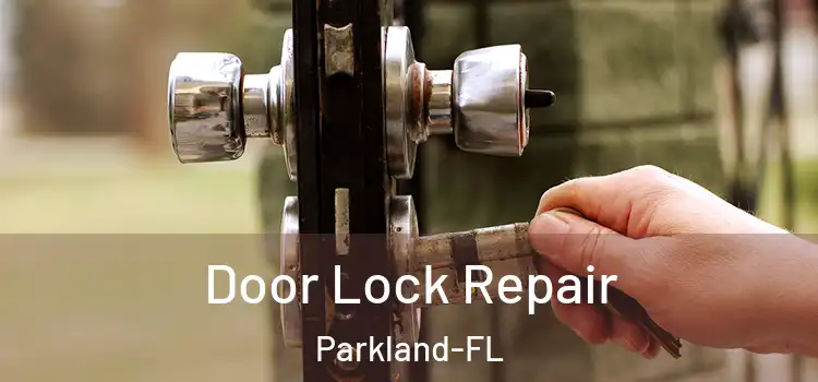 Door Lock Repair Parkland-FL