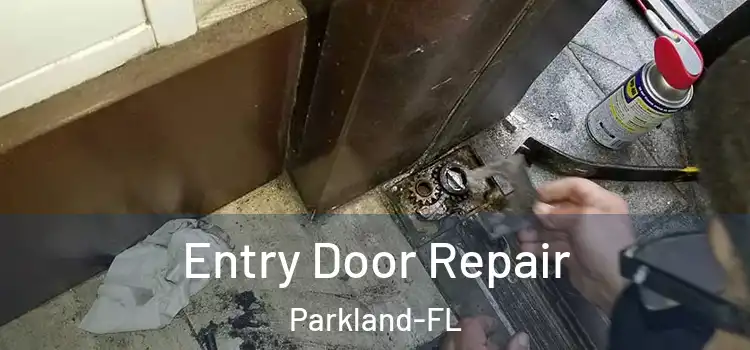 Entry Door Repair Parkland-FL