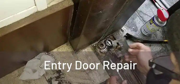 Entry Door Repair