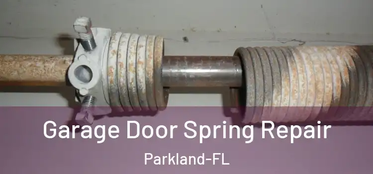 Garage Door Spring Repair Parkland-FL