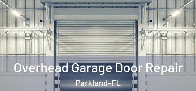 Overhead Garage Door Repair Parkland-FL