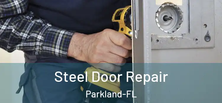  Steel Door Repair Parkland-FL